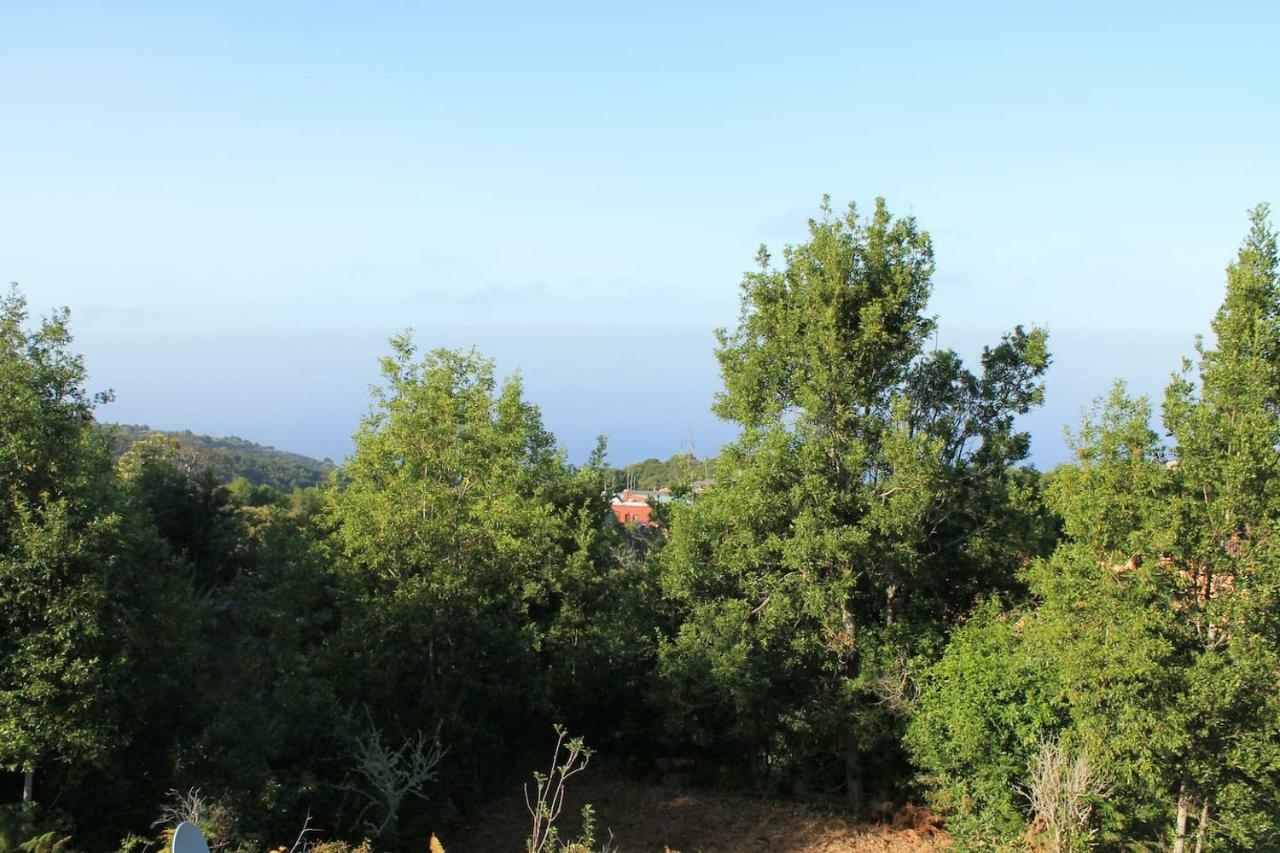 Penzion Casa Fita En El Cubo De La Galga Puntallana Exteriér fotografie