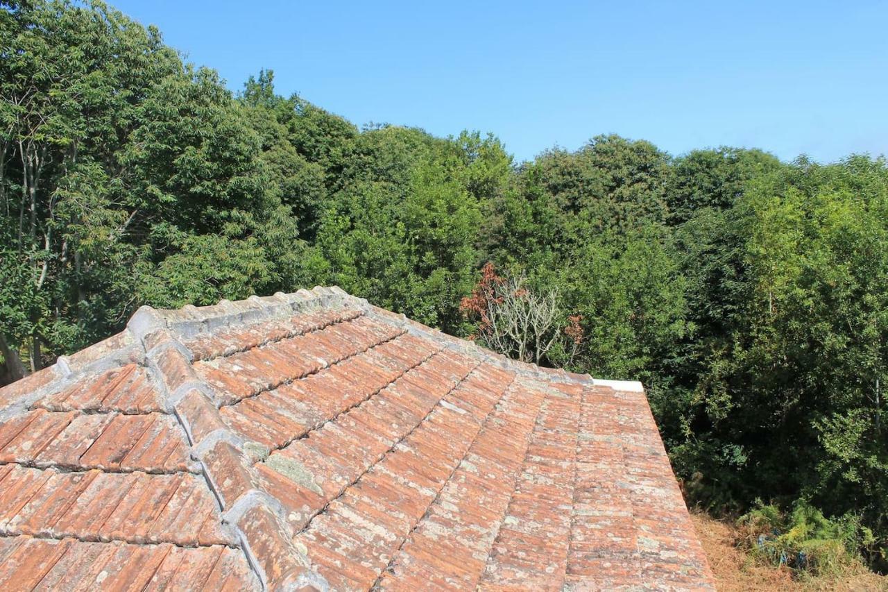 Penzion Casa Fita En El Cubo De La Galga Puntallana Exteriér fotografie